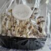 Kit de Cultivo Automático - Grande